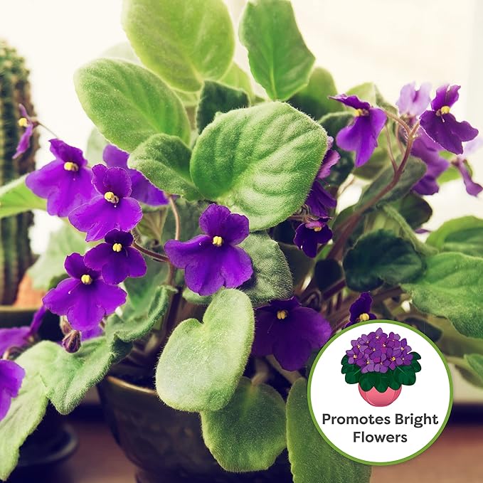 Perfect Plants African Violet Potting Soil 8qt. | Perfectly Crafted Organic Plant Mix for Potted Violets | Ready and Easy to Use Flowering Plant Substrate