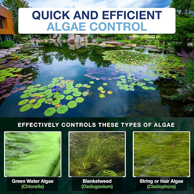 Aquascape 96026 Algaecide for Pond, Waterfall, and Water Features, 1-Gallon