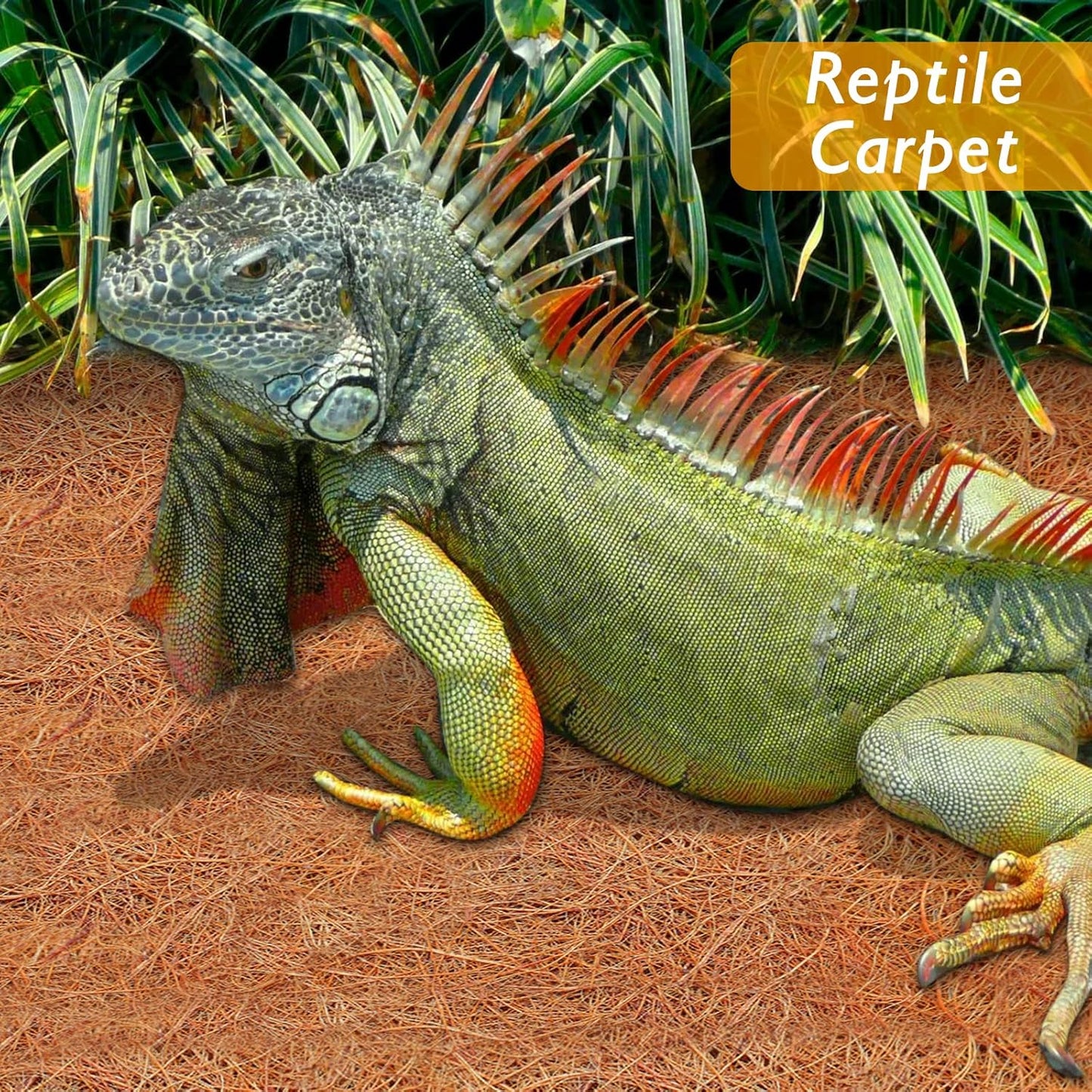 3 Pack Thickened No Slip Ice and Snow Carpet-16×118x0.28in Natural Coconut Fiber Carpet Mat Walking Safety, Winter Walkway Carpet Runner for Front Door Hallway Stairs Outdoor Patio Porch Garden