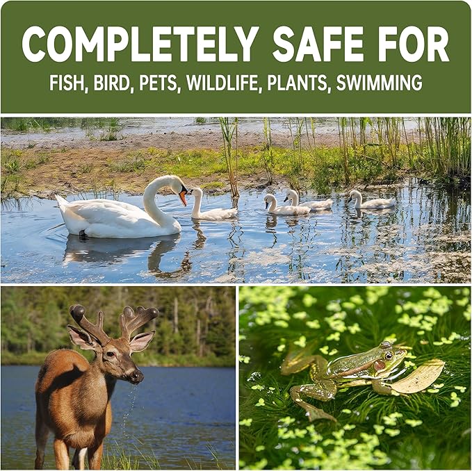 Muck Reducer - 5LB Natural Sludge Solution Tablets for Ponds & Lakes, Away Muck & Odor Control, Safe for Aquatic Life, Wildlife & Recreation, Treats Up to 30,000 Sq Ft