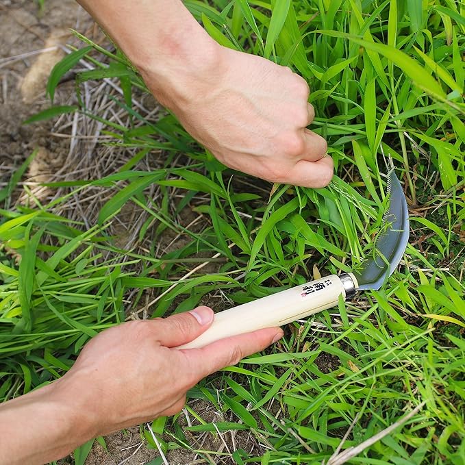 KAKURI Japanese Weeding Sickle Garden Tool 4.7" [Serrated Blade] Made in Japan, Garden Hand Weeder for Weed Removal, Razor Sharp Japanese Stainless Steel Blade